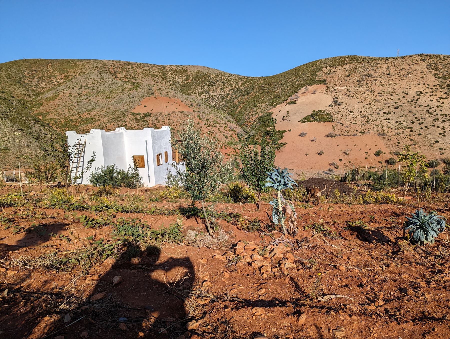 The first bungalow under construction on the hillside