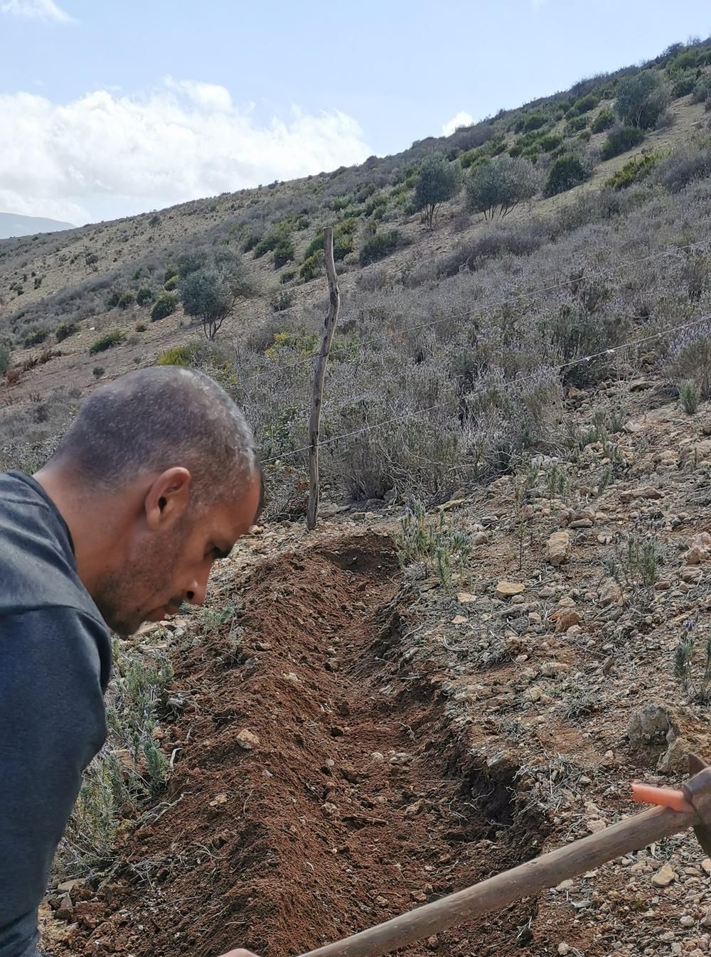 A worker hand-digging a swale trench into the hillside